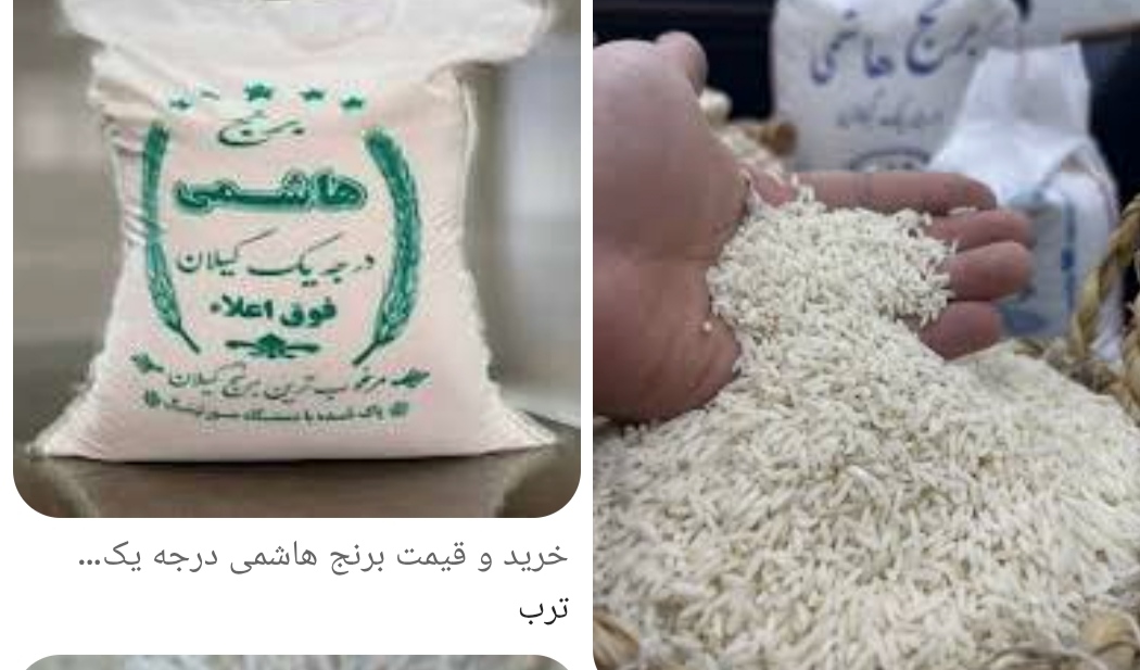 برنج هاشمی در جه 1