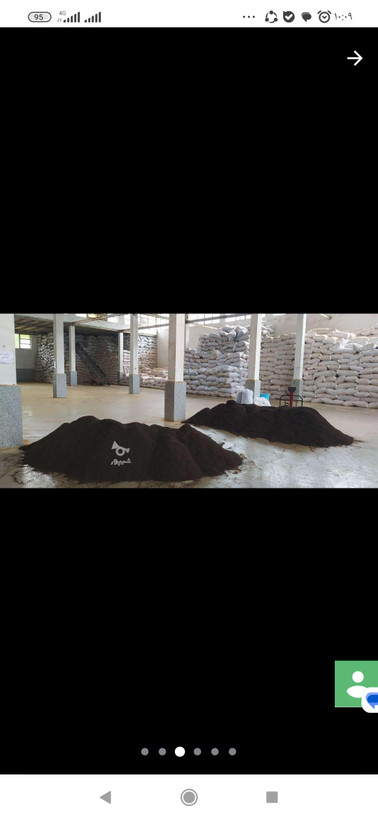 چای درجه یک